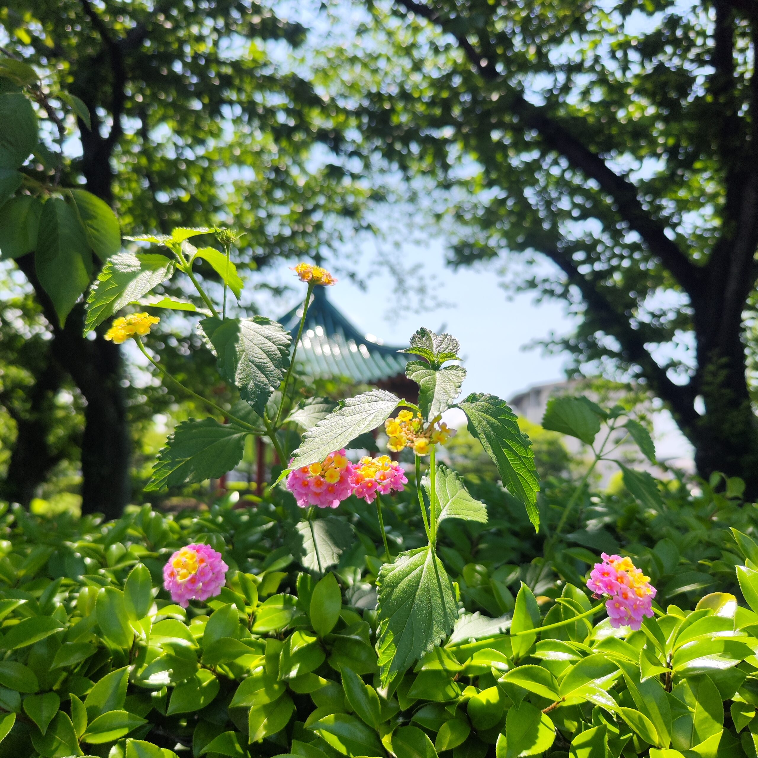 意味のない調和から綺麗に分離された世界♡