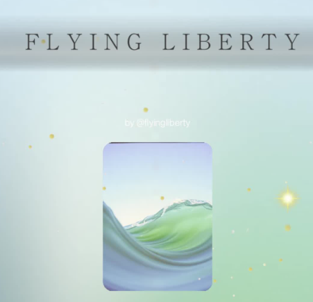 FLYING LIBERTY💖NOBORDER💖