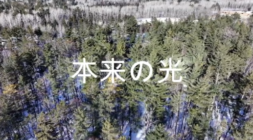 当然だけど光に欲なんてないよ
