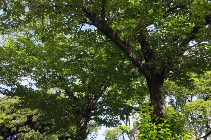 楽しい夢のはじまり自由時間♪