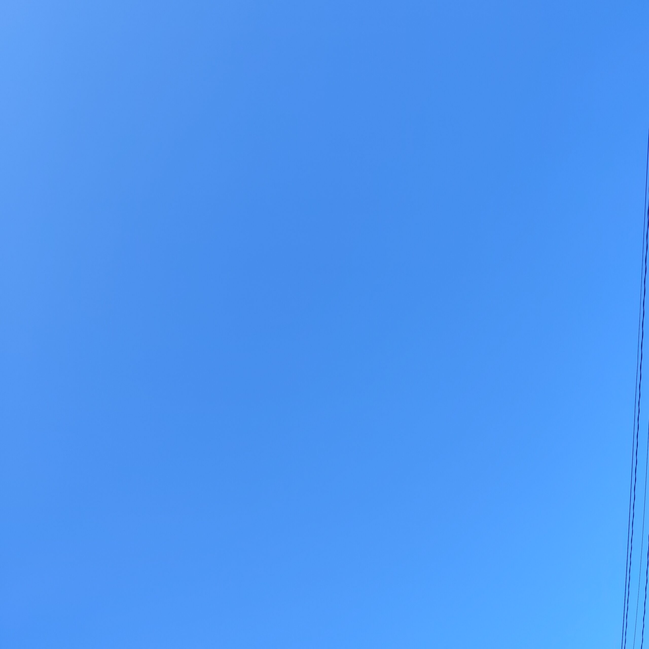 畏怖が消えると流布される🌟