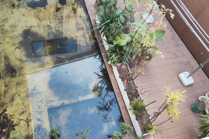 決めつけ否定マンが消えるね👊