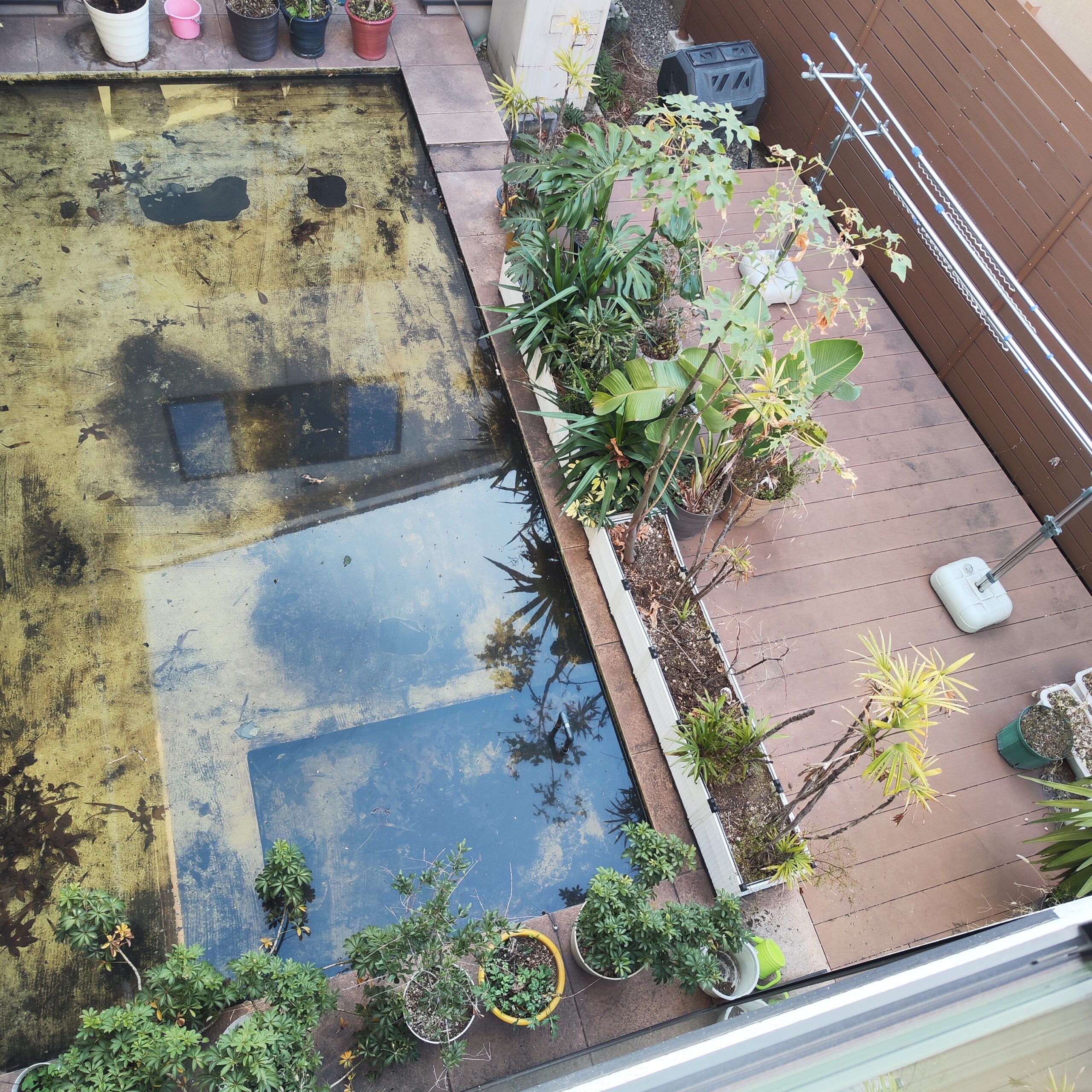 決めつけ否定マンが消えるね👊