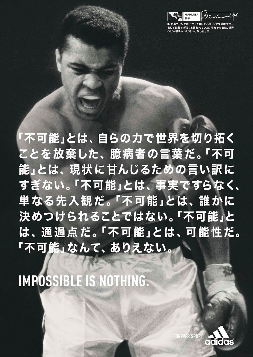 光輝く世界線がハッキリ見えてきた 光輝く世界線がハッキリ見えてきた